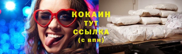 гашик Белокуриха