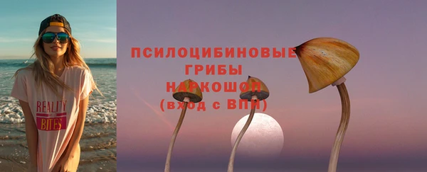 гашик Белокуриха