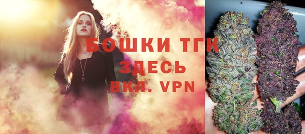 гашик Белокуриха