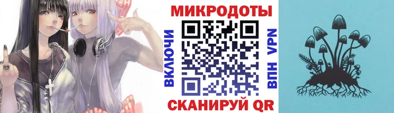 Псилоцибиновые грибы Cubensis  Славгород 