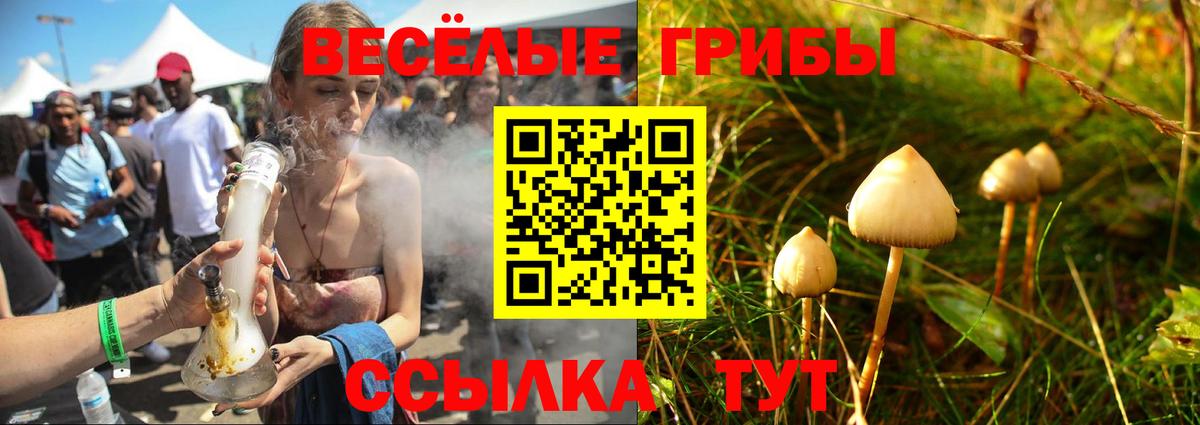 купить наркоту  Вход с VPN  Галлюциногенные грибы мухоморы  Славгород  Галлюциногенные грибы мухоморы 